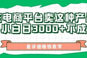 （11206期）最新在电商平台发布这种产品，新手小白日入3000+不成问题，最详细赚钱教学