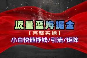 （11302期）热门赛道掘金_小白快速入局挣钱，可矩阵【完整实操】