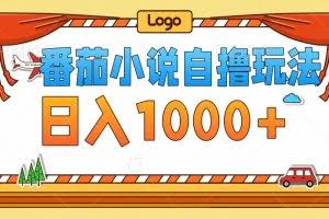 （12782期）番茄小说自撸玩法！不看播放量！不看视频质量！每天1000+