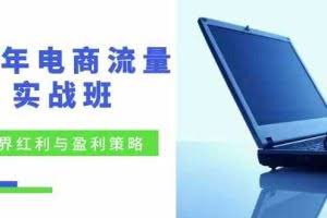 电商流量实战班:无界红利与盈利策略,终极提升/关键词优化/精准人群拓展/创新玩法