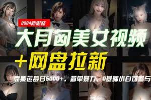 【新思路】大月匈美女视频+网盘拉新,靠搬运每日5000+,简单暴力,0基础小白可参与