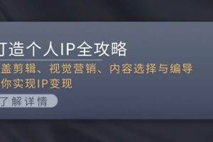 （13368期）打造个人IP全攻略：涵盖剪辑、视觉营销、内容选择与编导，助你实现IP变现