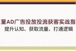 （13872期）巨量AD广告投放投流获客实战指南，提升认知、获取流量、打通逻辑