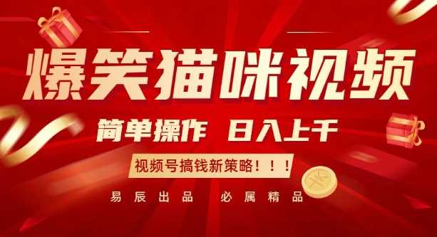 爆笑猫咪视频:简单操作,日入过K,视频号搞钱新策略【揭秘】
