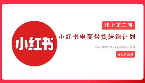 2025小红书虚拟电商实战课，从0到1打造无货源店铺，AI+爆款笔记轻松变现