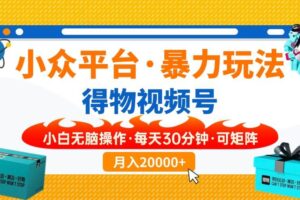 （14194期）小众平台暴力玩法，一键搬运爆款视频，可矩阵小白无脑操作，每天30分钟…