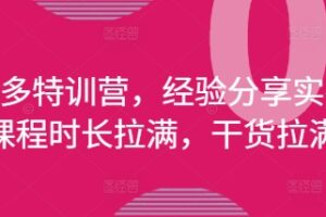 拼多多特训营，经验分享实操，课程时长拉满，干货拉满(更新25年4月)