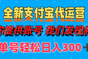 全新支付宝代运营你提供账导 我们发视频单号轻松日入300+
