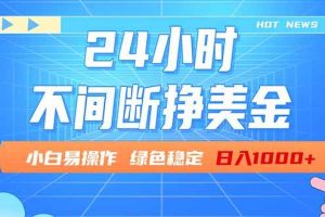 （17769期）24小时全天挣美金，小白易入手，长期稳定，日入1000+