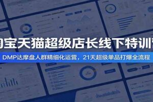 淘宝天猫超级店长线下特训营：DMP达摩盘人群精细化运营，21天超级单品打爆全流程