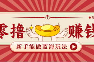 新手也能变现的蓝海玩法，一个人人能做的项目，需求量极大日入300+！