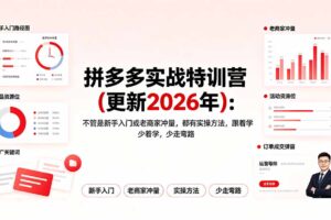 拼多多实战特训营(更新2026年