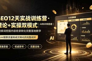 GEO12天实战训练营·理论+实操双模式｜AI知识库搭建｜搜索词挖掘内容收录转化完整落地教学