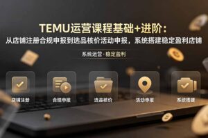 TEMU运营课程(基础+进阶