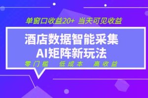 2026酒店数据采集ai智能矩阵新风口 低成本 高收益 当天见收益 单窗口20+