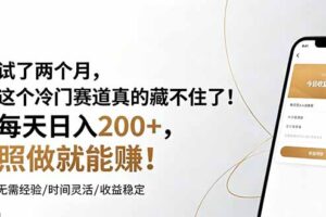 试了两个月，这个冷门赛道真的藏不住了！每天日入200+，照做就能赚！