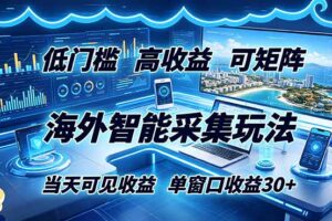 海外智能采集玩法，低门槛高单价可矩阵，当天可见收益，单窗口30+