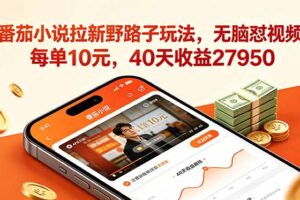 番茄小说拉新野路子玩法，无脑怼视频，每单10元，40天收益27950