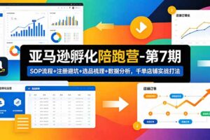亚马逊孵化陪跑营-第7期：SOP流程+注册避坑+选品梳理+数据分析，千单店铺实战打法