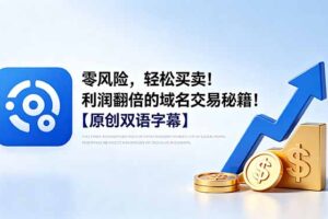 零风险，轻松买卖！利润翻倍的域名交易秘籍！【原创双语字幕】