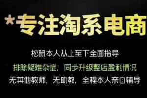 松鼠会电商VIP课程，从基础布局到高阶优化，助你掌握淘宝运营逻辑，提升店铺流量与转化(更新0703)