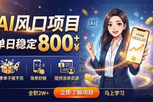 AI风口项目，单日稳定800+，旺季单子做不完，简单好做，提供派单资源