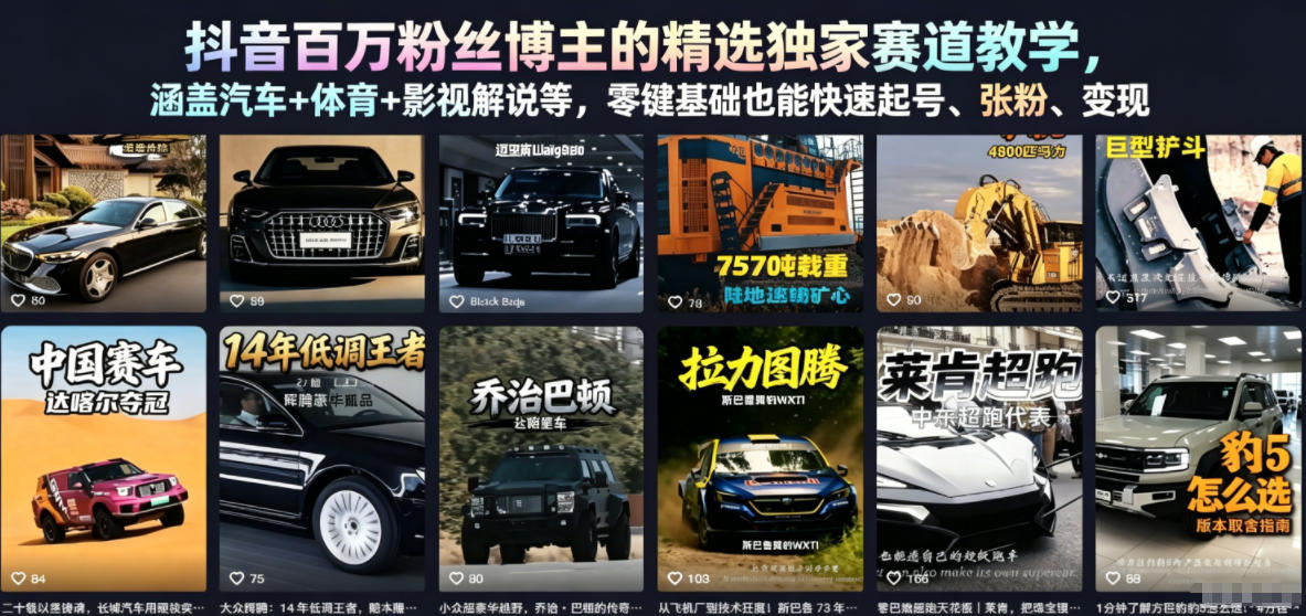 抖音百万粉丝博主的精选独家赛道教学，涵盖汽车+体育+影视解说等，零基础也能快速起号、涨粉、变现（更新0701）