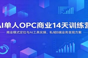 AI单人OPC商业14天训练营：商业模式定位与AI工具实操，私域B端业务变现方案