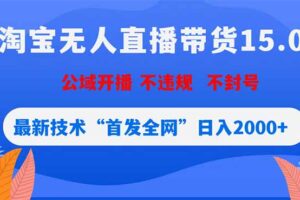 淘宝无人直播带货15.0，不封号，不违规，公域玩法，首发全网日入2000+