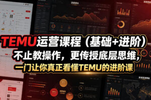 TEMU运营课程(基础+进阶)，不止教操作，更传授底层思维，一门让你真正看懂TEMU的进阶课