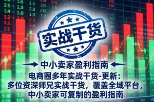 电商圈多年实战干货-更新5月20：多位资深师兄实战干货/覆盖全域平台，中小卖家可复制的盈利指南