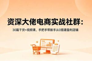资深大佬电商实战社群：30篇干货+视频课，手把手带新手从0搭建盈利店铺