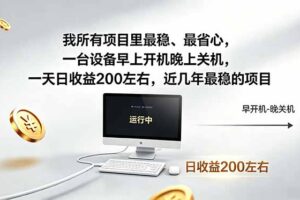 我所有项目里最稳，最省心，一台设备早上开机晚上关机，一天日收益200左右，近几年最稳的项目