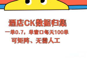 上班也能玩的酒店CK数据归集，一单0.7单窗口每天可做100单，一个人就能矩阵操作