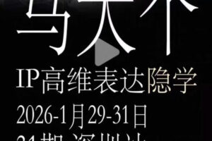 马大个《IP高维表达》全套12800线下大课笔记，手把手教你打造个人IP