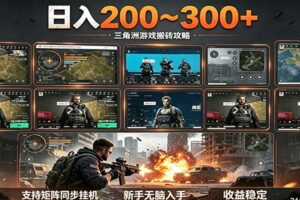 日入200~300+ 三角洲全自动搬砖项目，新手零门槛即可无脑入手