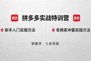 拼多多实战特训营(更新5月3
