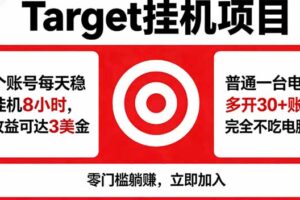 海外平台Target，正规运营商合作、技术兜底长期稳定、防风控、任务不断档、收益透明、灵活提…
