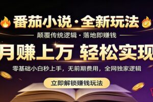 番茄小说5月最新独家玩法，稳定落地实测月入过万！