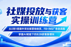 社媒投放与获客实操训练营，从0到1搭建外贸社媒营销体系，FB+INS广告全流程，掌握AI赋能下的B2B获客新增长