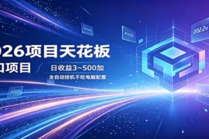 2026项目天花板，风口项目，日收益3~500+全自动挂机，不吃配置