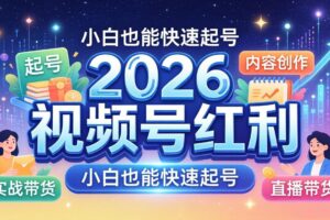 2026视频号红利实战营，大佬亲授起号、内容、直播、IP、投流、私域、矩阵全套落地打法