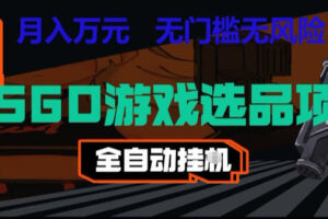 CSGO游戏自动扫货项目，全自动运行，月入1W，无风险，长期稳定可以做【揭秘】