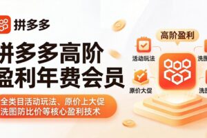 拼多多高阶盈利年费会员(更新4月19