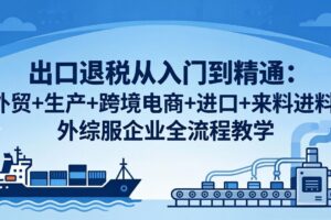出口退税从入门到精通：外贸+生产+跨境电商+进口+来料进料+外综服企业全流程教学