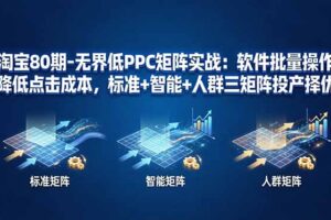 淘宝80期-无界低PPC矩阵实战：软件批量操作降低点击成本，标准+智能+人群三矩阵投产择优