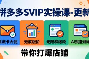 拼多多SVIP实操课-26年4月，截流卡大促+无痕涨价+无限群爆款+AI赋能爆单新玩法，带你打爆店铺