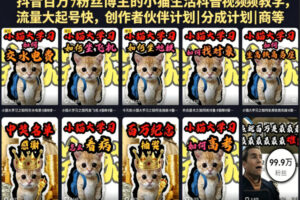 抖音百万粉丝博主的小猫生活科普视频教学，流量大起号快，创作者伙伴计划|分成计划|商单|收徒等