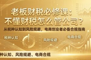 老板财税必修课：不懂财税怎么管公司？从税种认知到风险规避，电商创业者必备合规指南
