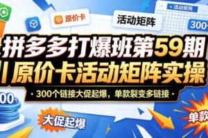 拼多多打爆班第59期｜原价卡活动矩阵实操，300个链接大促起爆，单款裂变多链接